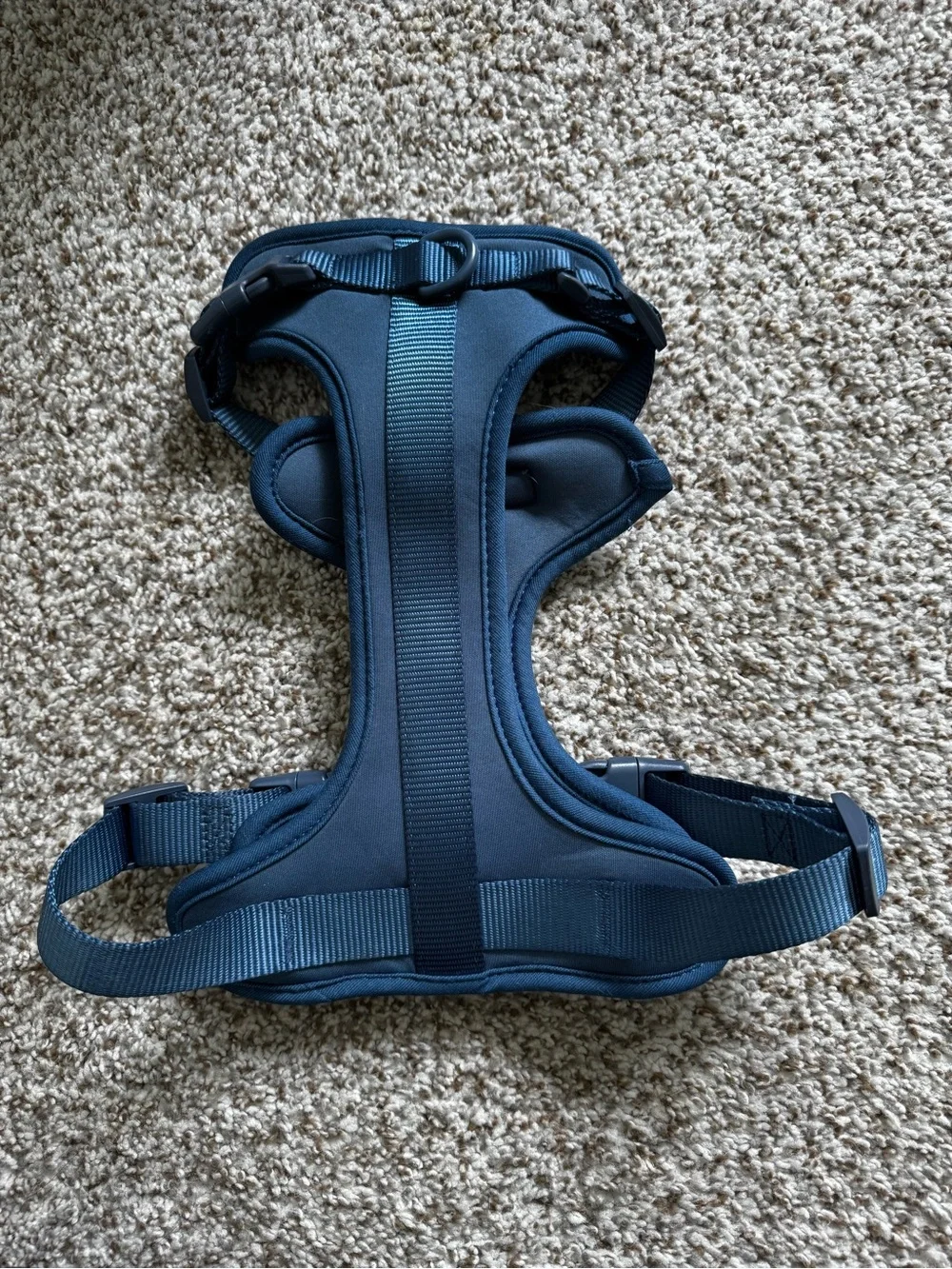 Navy Padded No-Pull Dog Harness